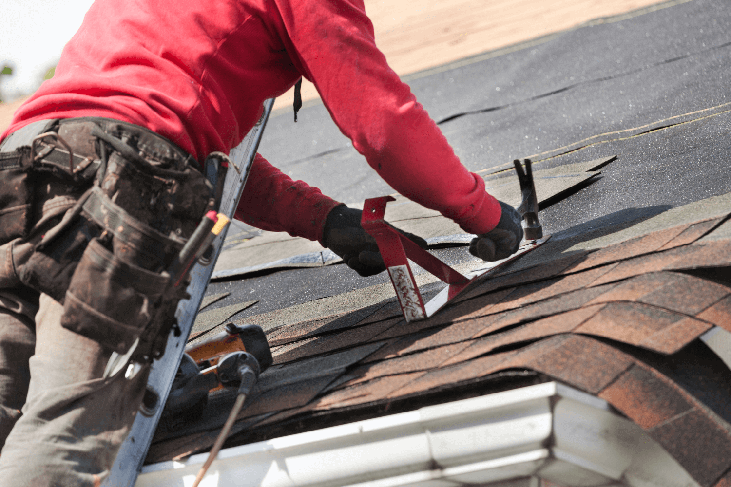 Roof Maintenance
